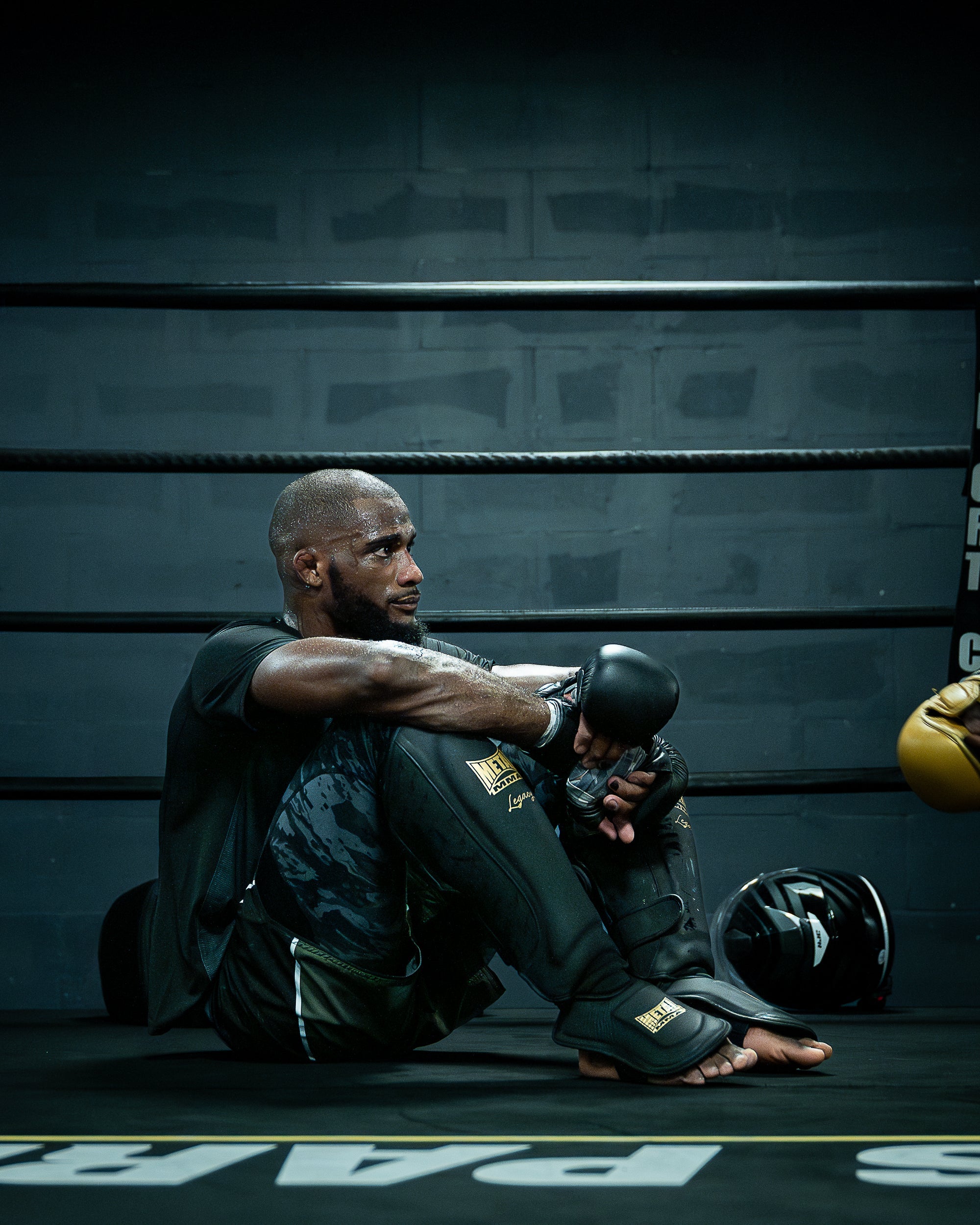 Gants d'entraînement MMA Héritage