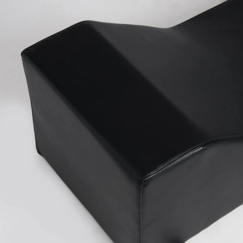 Vintage Lion Athena Wall Silhouette