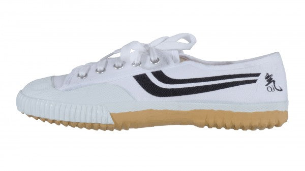 Kung Fu Wushu Canvas Shoes