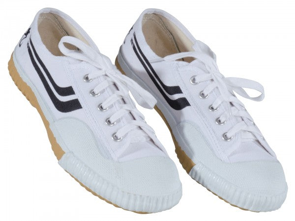 Kung Fu Wushu Canvas Shoes