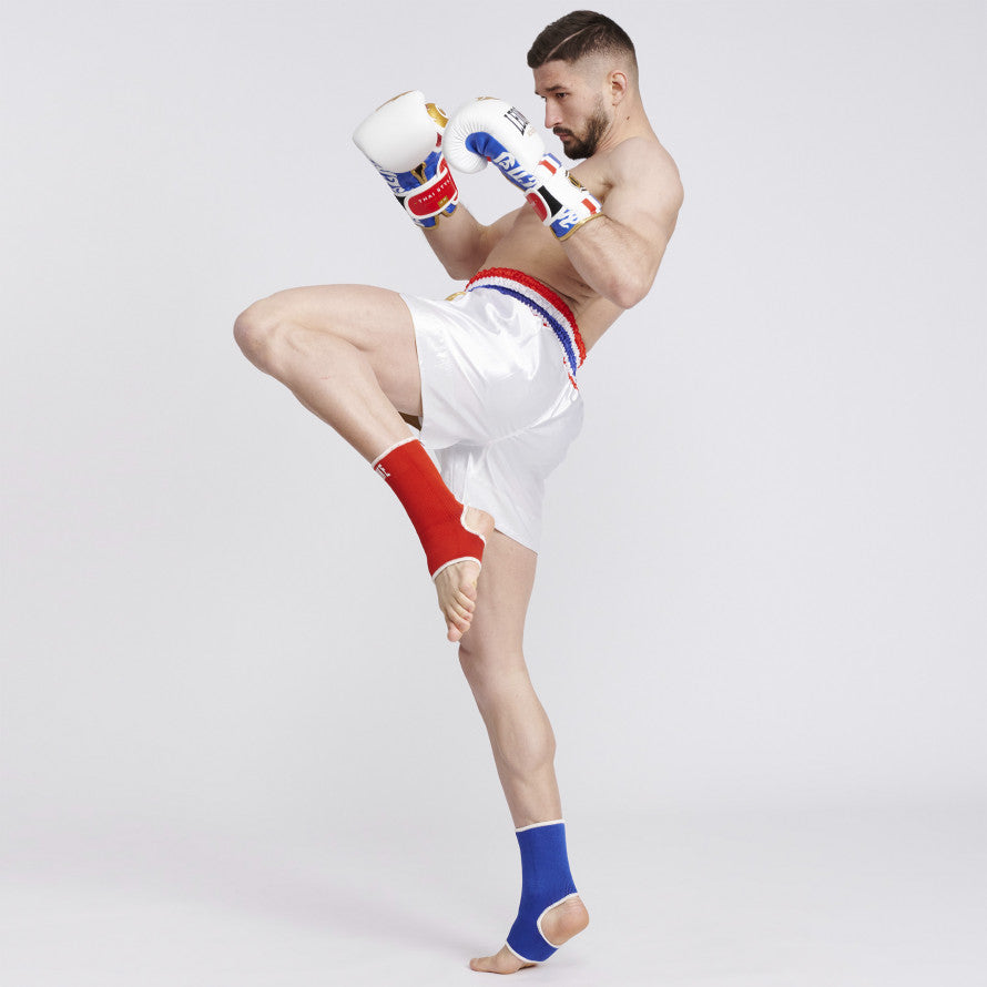 Cavigliere Leone Reversibili