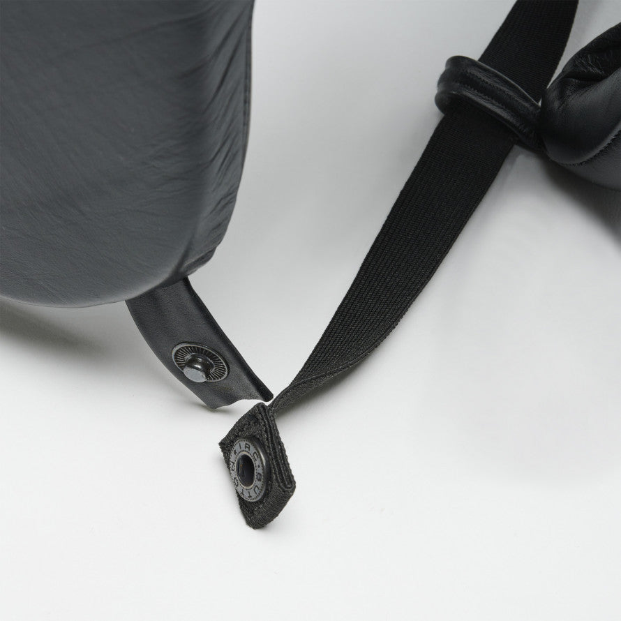 Coquille Pro Lion Le Plus Grand