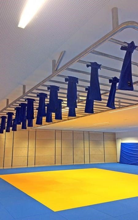 Pair of Judo Grip Trainers with Moskito loop hanging from a pull-up bar