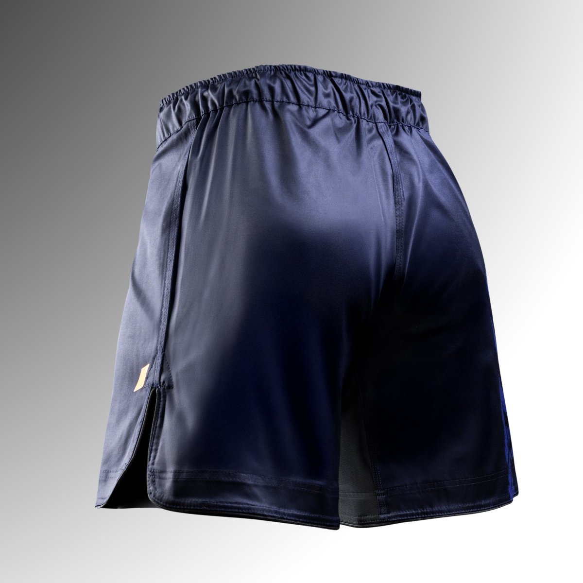 Rear view of the blue Hayabusa Apex MMA shorts, internal stretch panels for maximum comfort