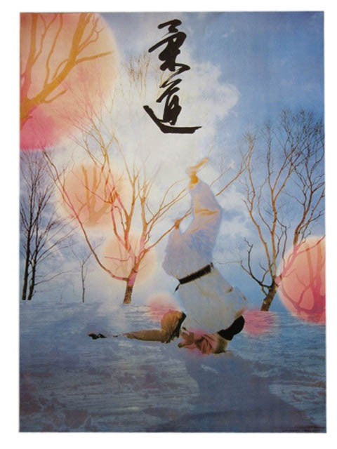 Educational Posters Martial Arts Judo and Karate Striking