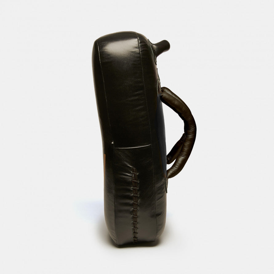 Bouclier Lion Ligne Puissance