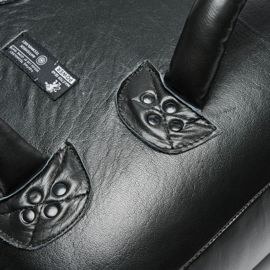 Bouclier Lion Ligne Puissance