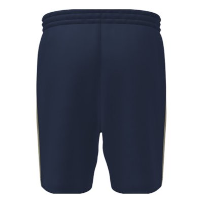 Adidas FPI Navy Presentation Pants (kopie)