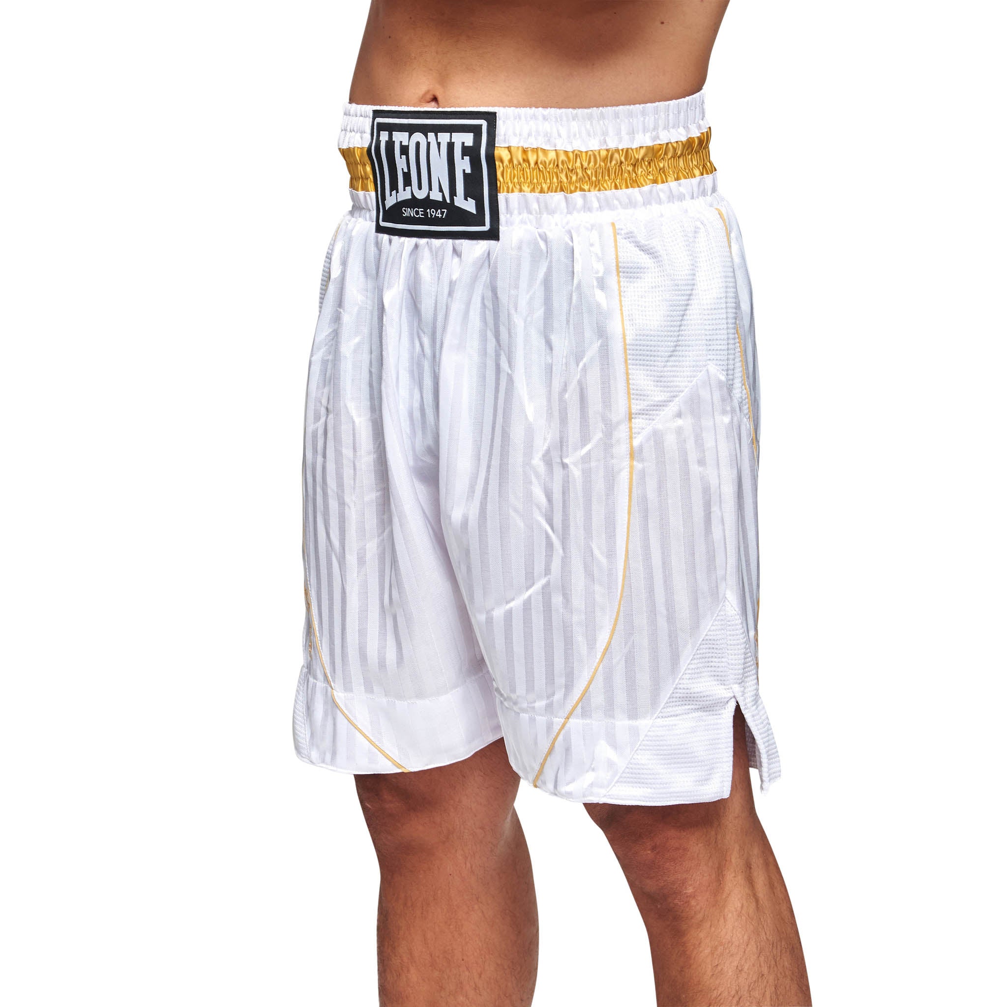 Leone Boxing Premium Shorts