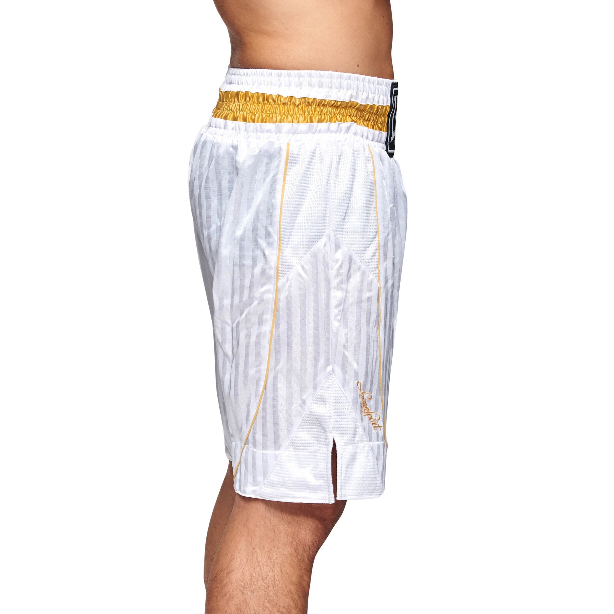 Leone Boxing Premium Shorts