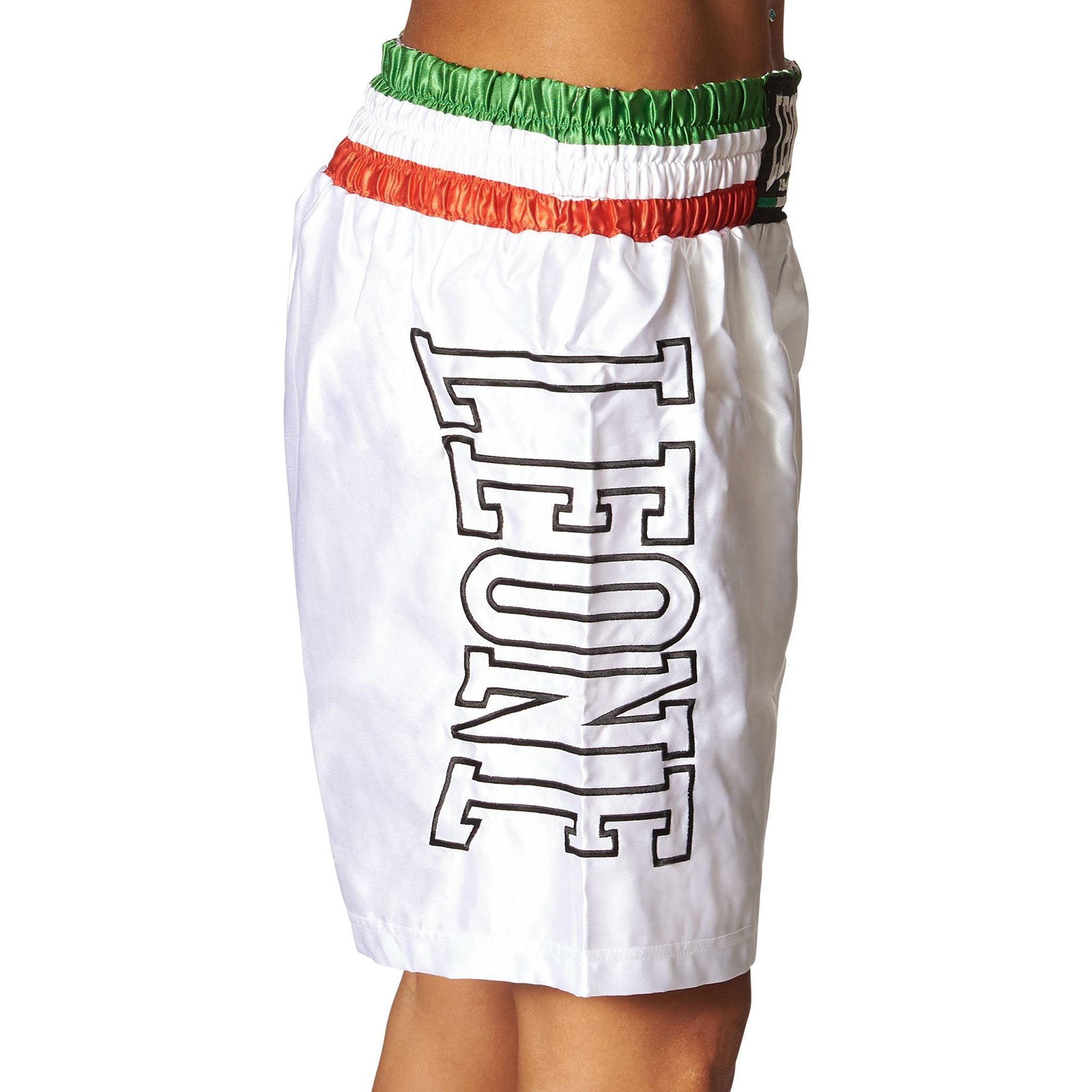 Pantaloncini Boxe Leone Fascia Tricolore