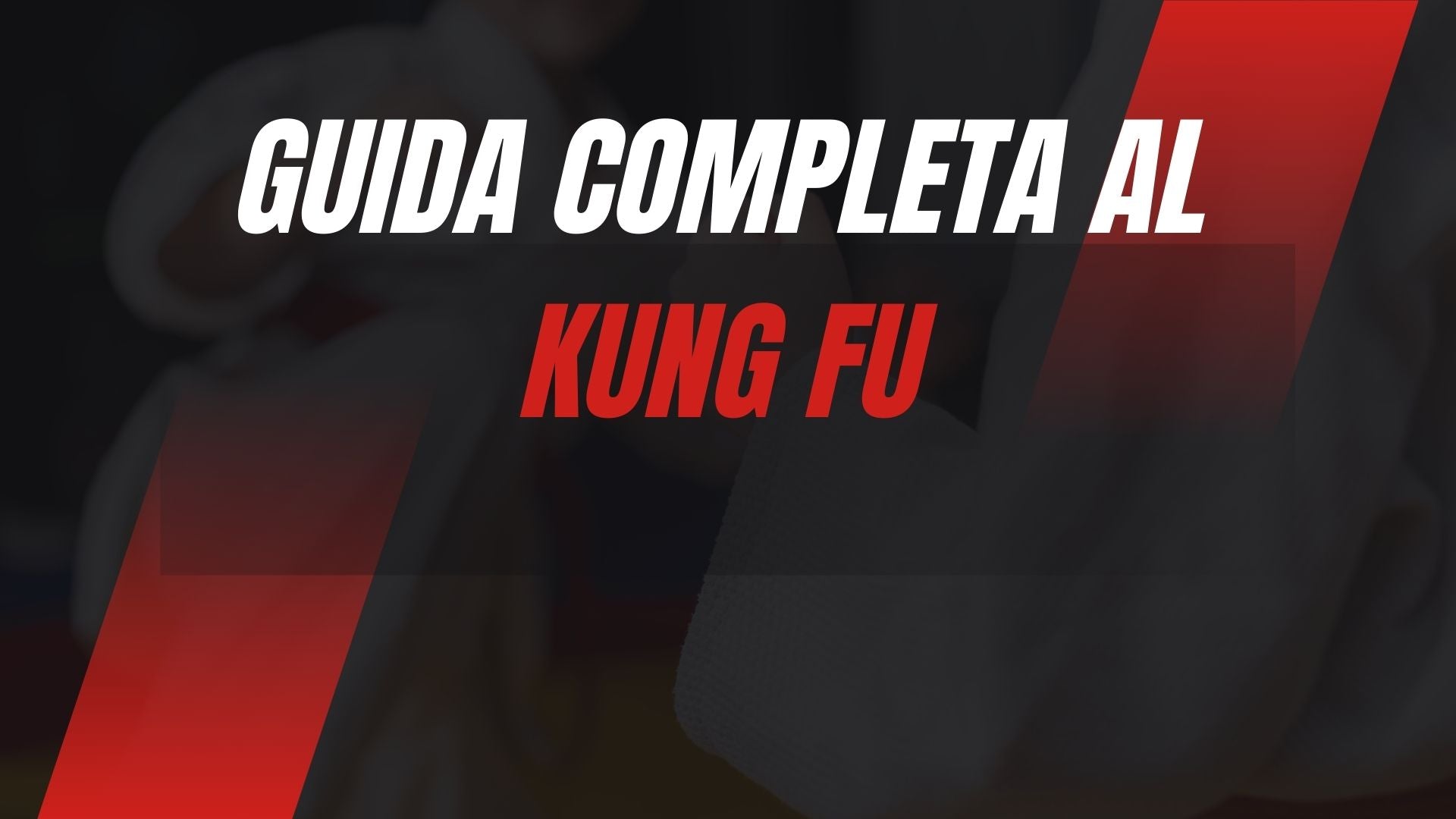 Kung fu guida completa