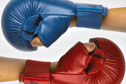 GUANTI DA KARATE - Fight Club Store