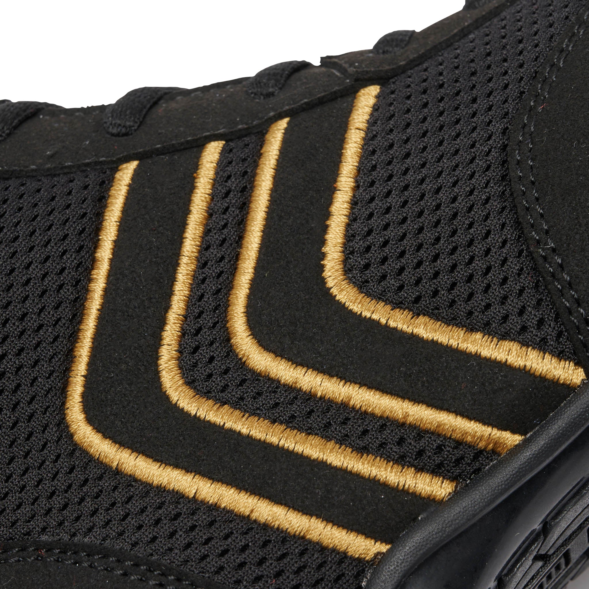 Boxerschuhe Löwe Hermes