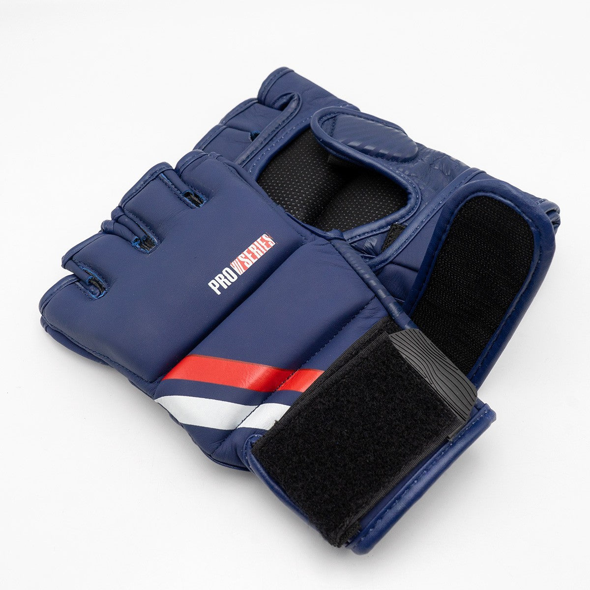 ProSeries 2.0 MMA Gloves