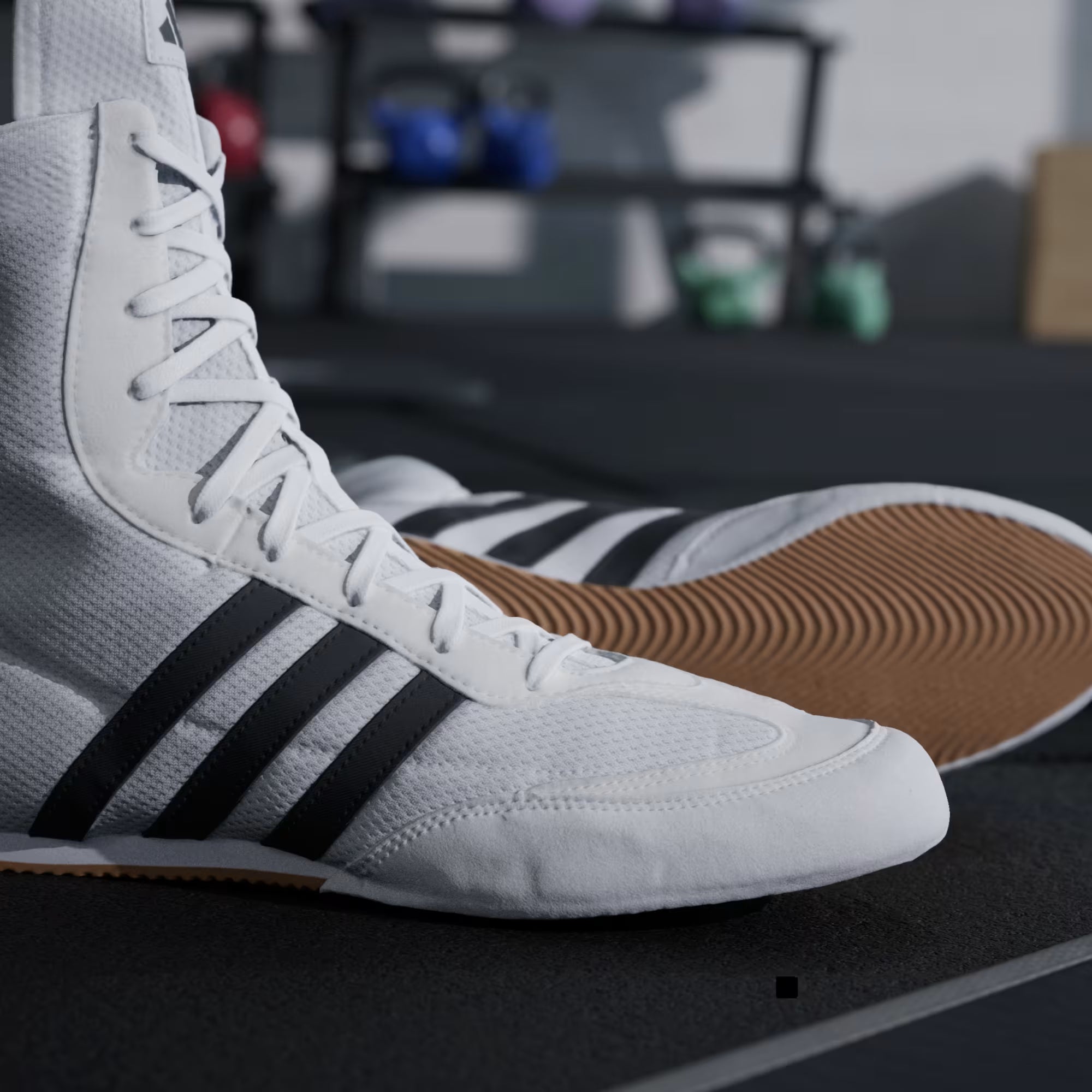 Weiße Boxschuhe Adidas Box Hog 2
