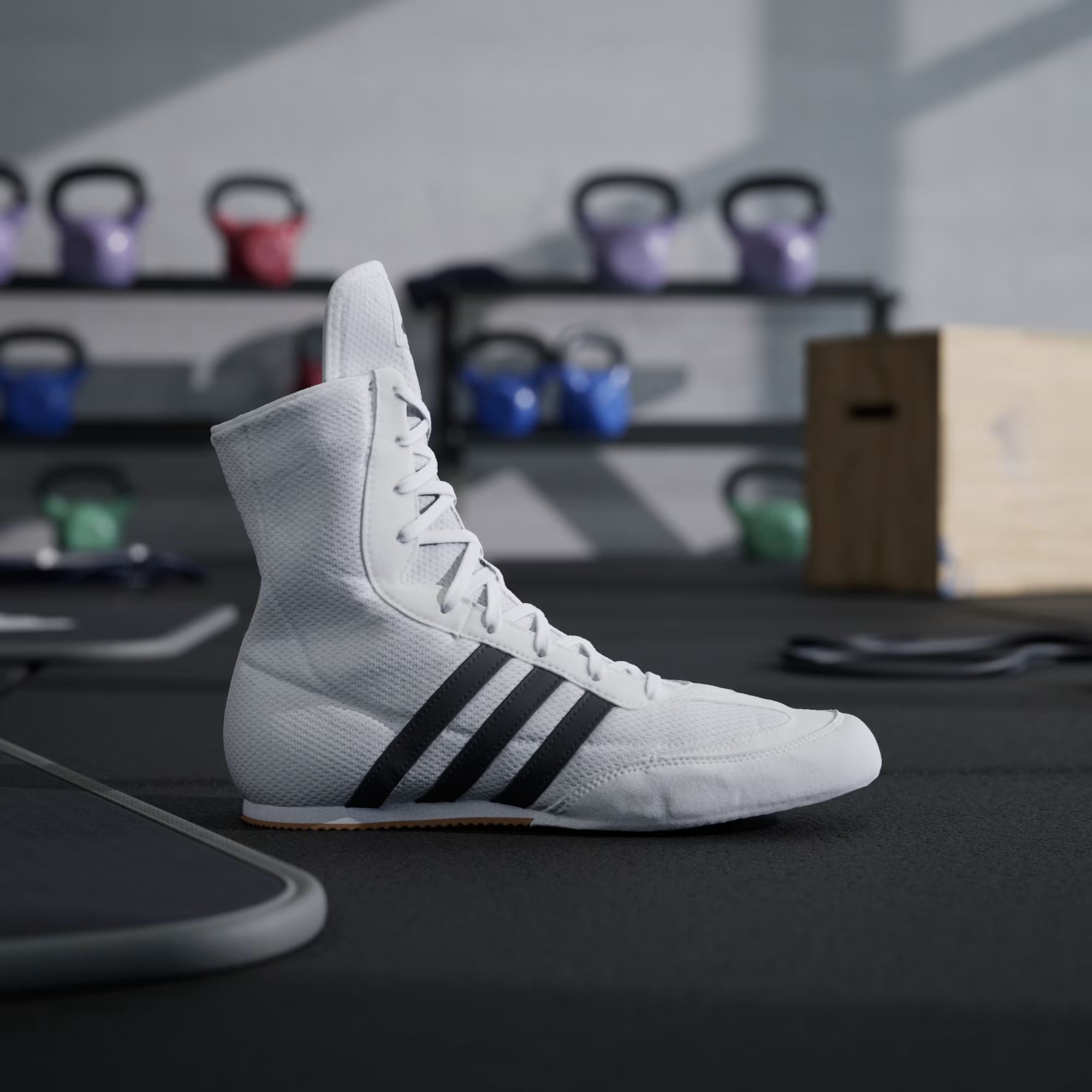 Weiße Boxschuhe Adidas Box Hog 2