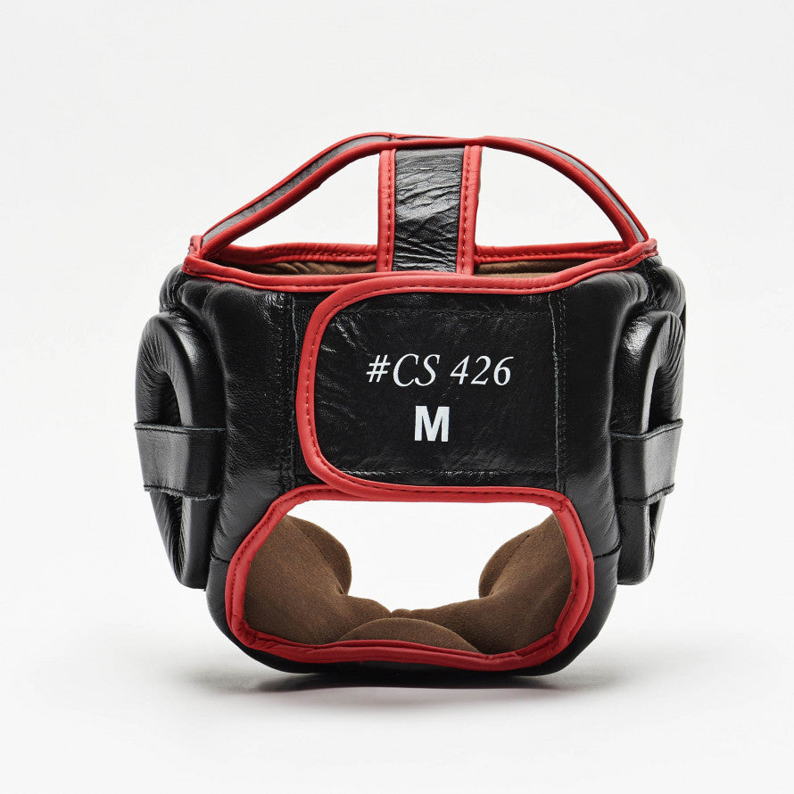 Cheekpad Helmet and Lion Armor