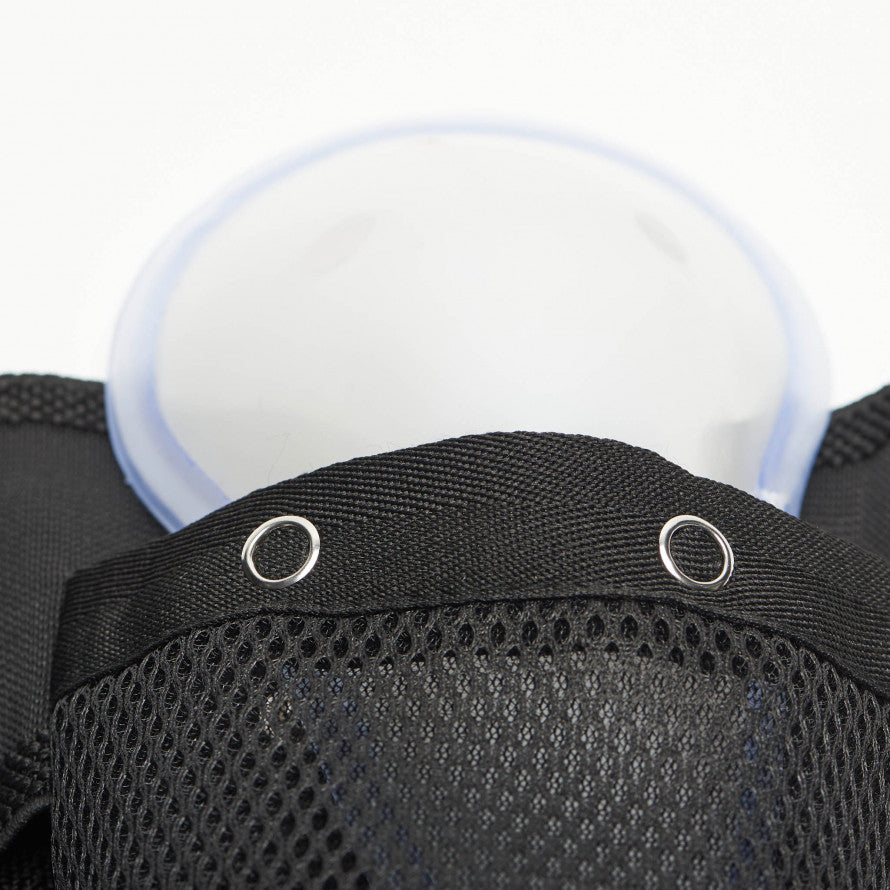 Coquille Lion Masculin