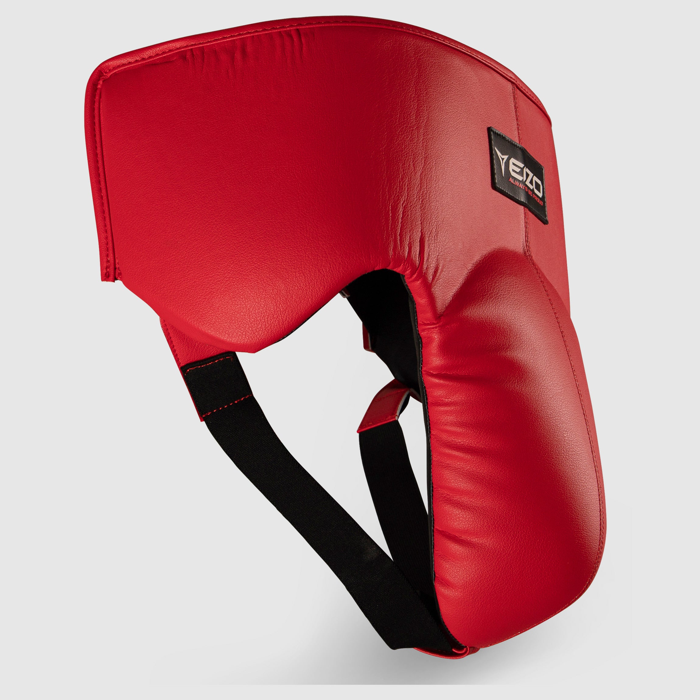 Concha Eizo Profesional de boxeo