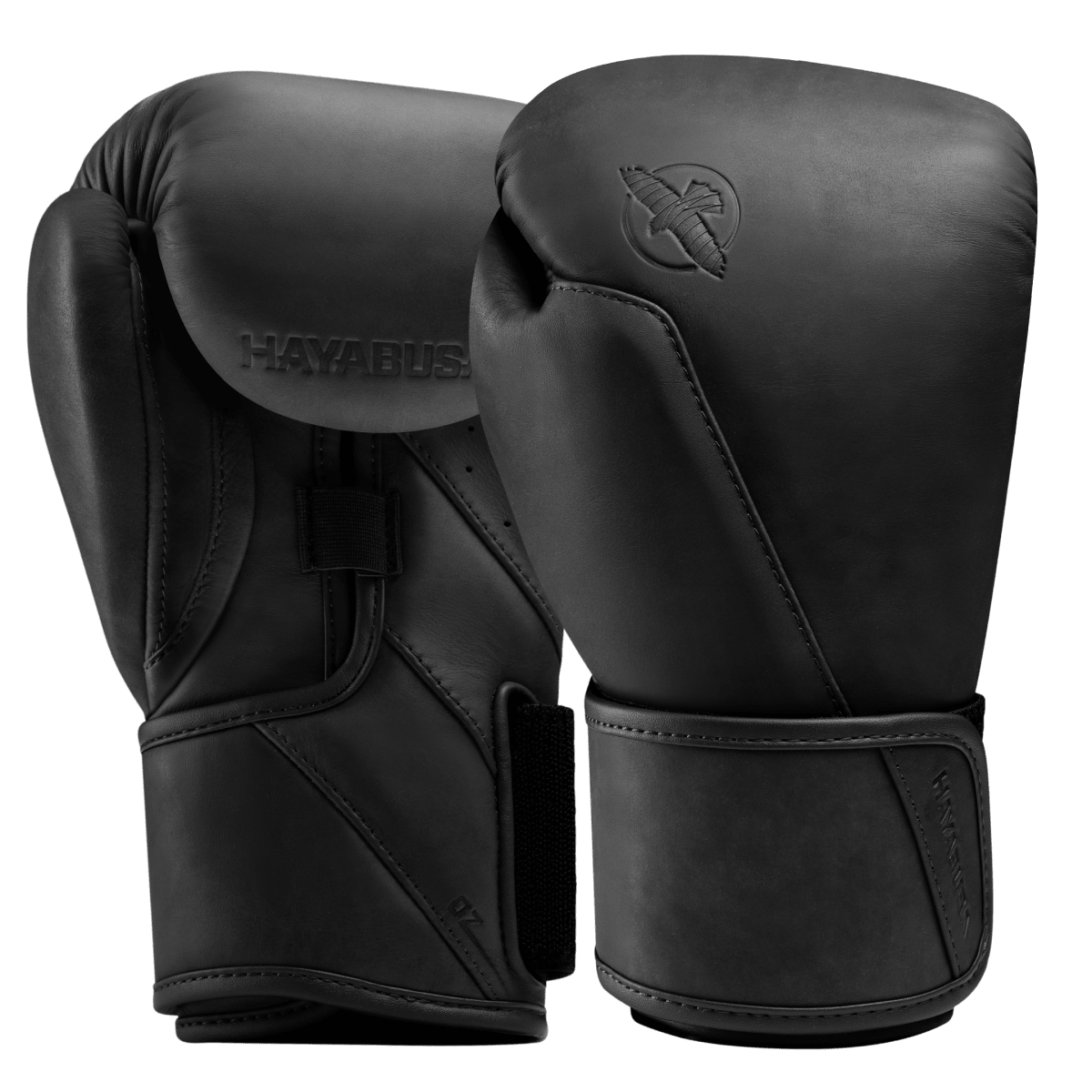 Pair of Hayabusa T360 Black Full Grain Leather Boxing Gloves, Professional Design for Sparring and Punching Bag