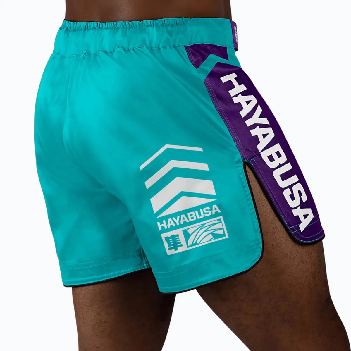 Back view turquoise Hayabusa Icon fight shorts.