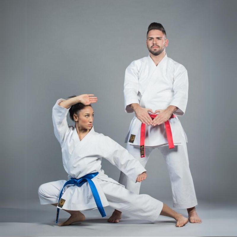 Professional Karategi KO Kata