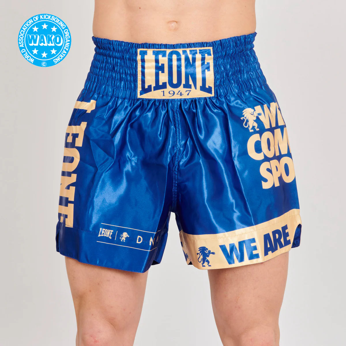 Kickbox-Shorts WAKO Leone