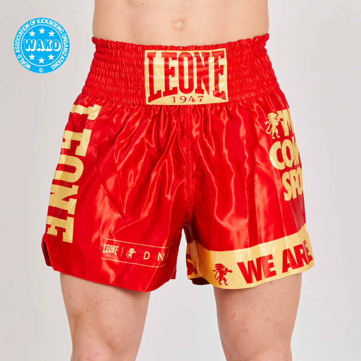 Kickbox-Shorts WAKO Leone