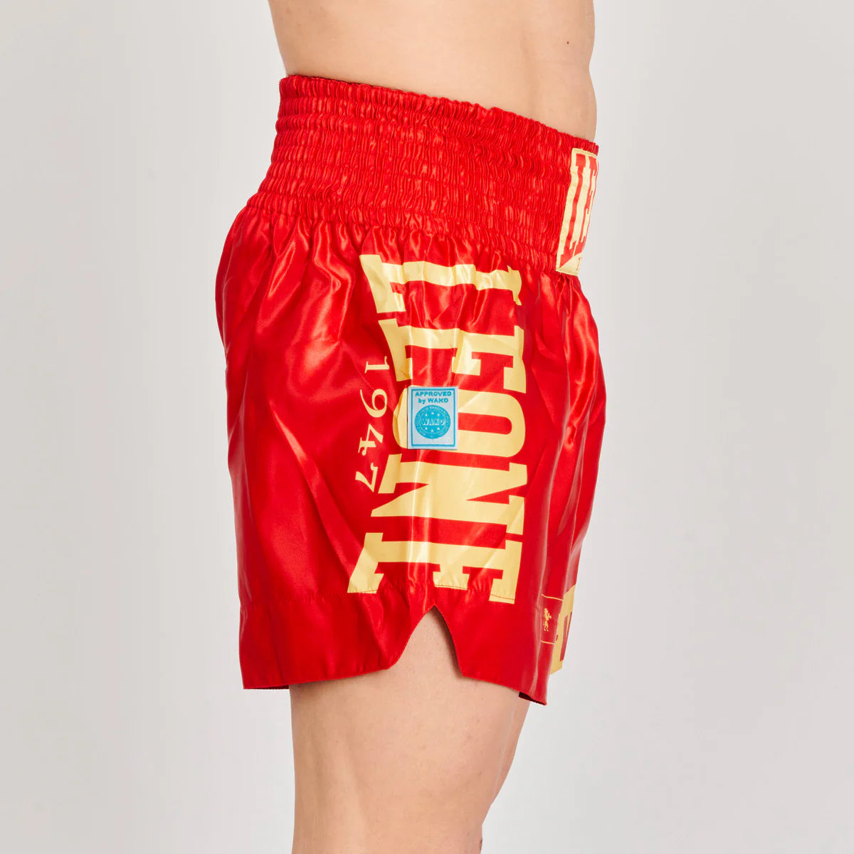 Kickbox-Shorts WAKO Leone