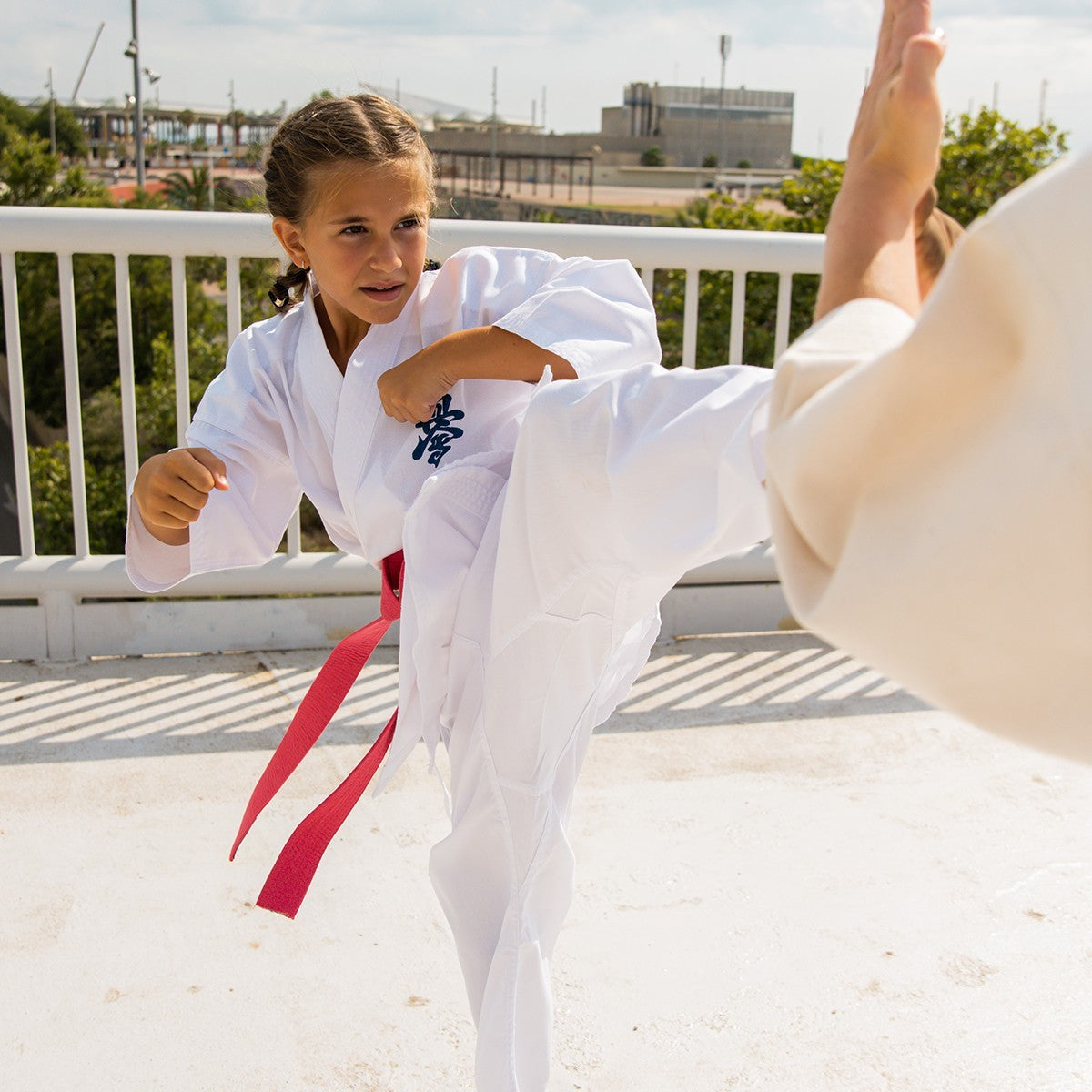 Pink Belt for Martial Arts