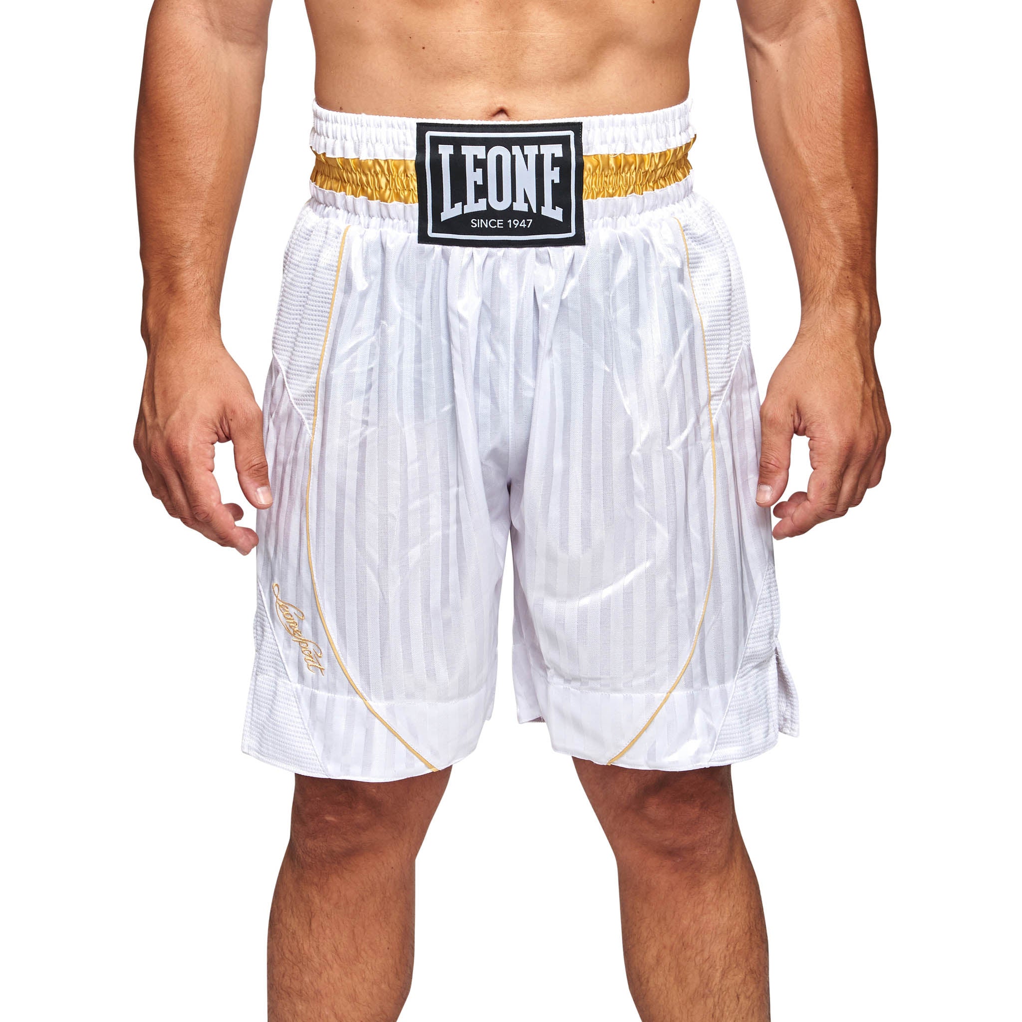 Leone Boxing Premium Shorts