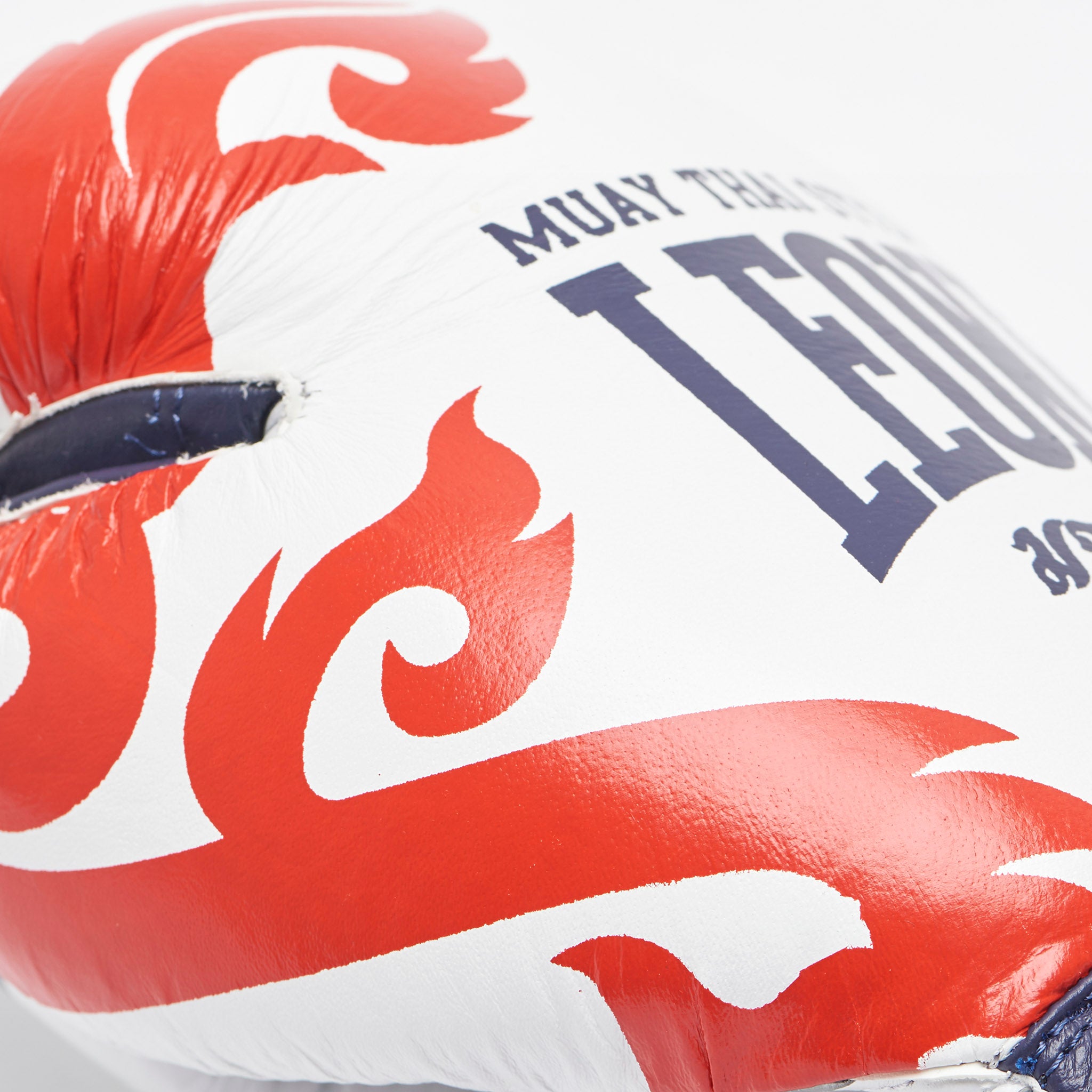 Leone Muay Thai Gloves
